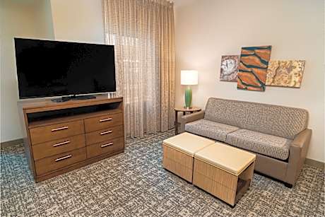 1 King Bed Studio Suite Comm Access