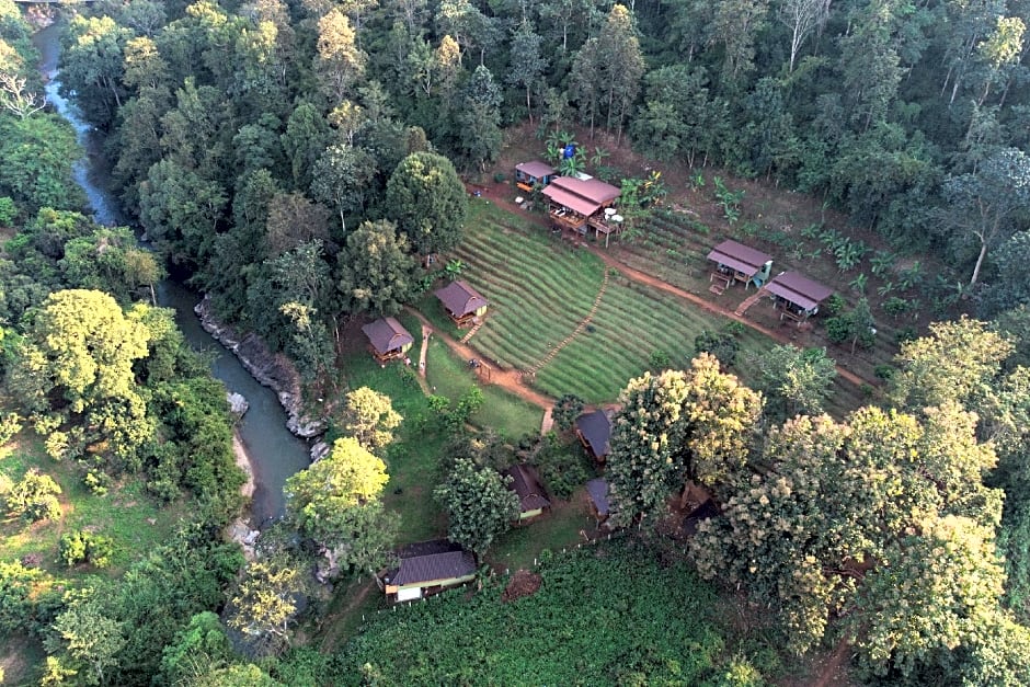 Chiang Mai Elephant Friends