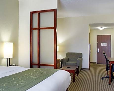 1 King Bed Suite Nonsmoking