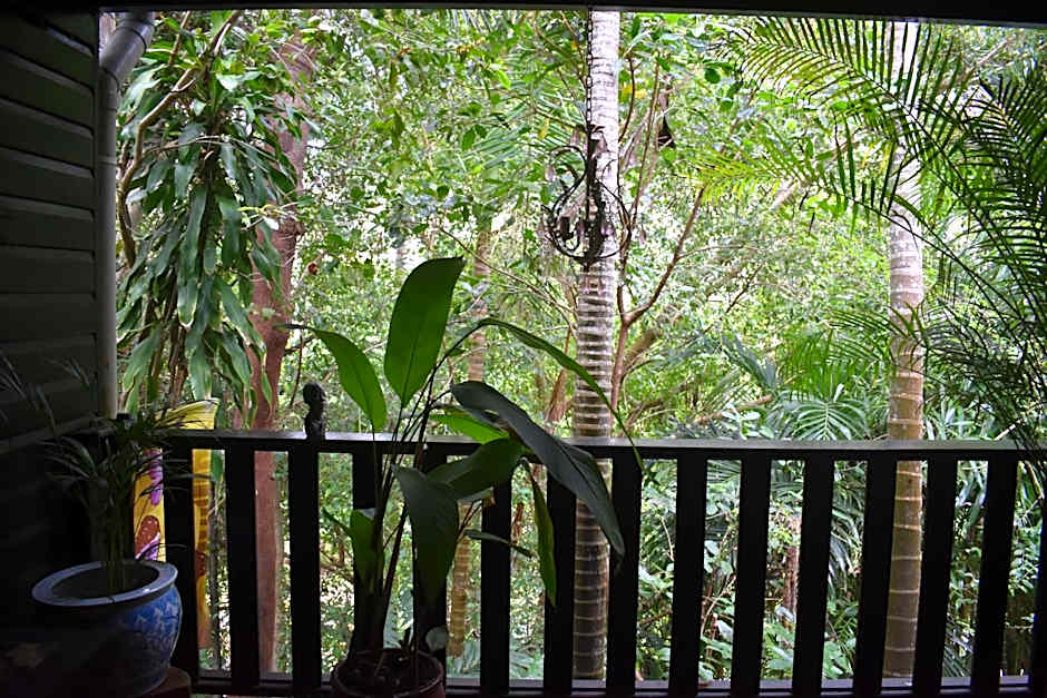 Oskar's Rain Forest Retreat