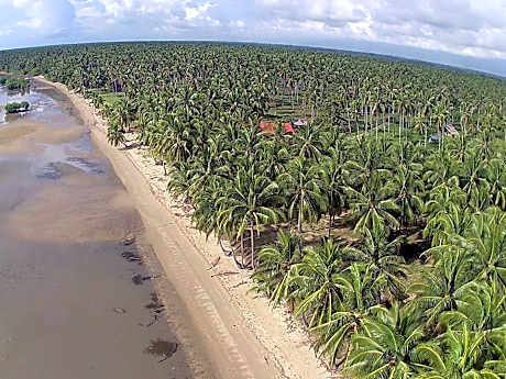 la caballa beach resort bar & grill