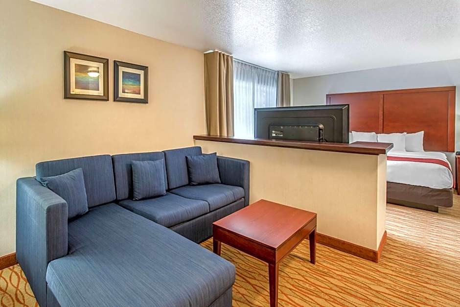 Comfort Inn Mount Shasta Area