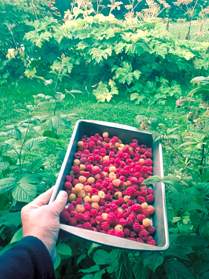 Alaska Adventure Cabins