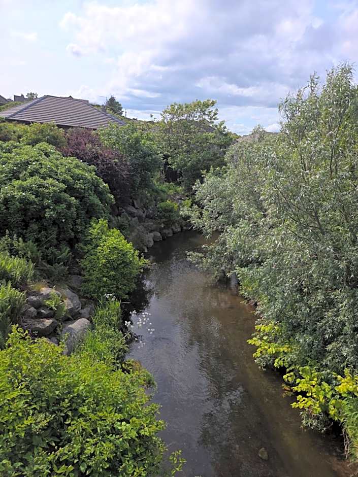 Room on the River