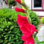 5 Ojo Inn Bed and Breakfast