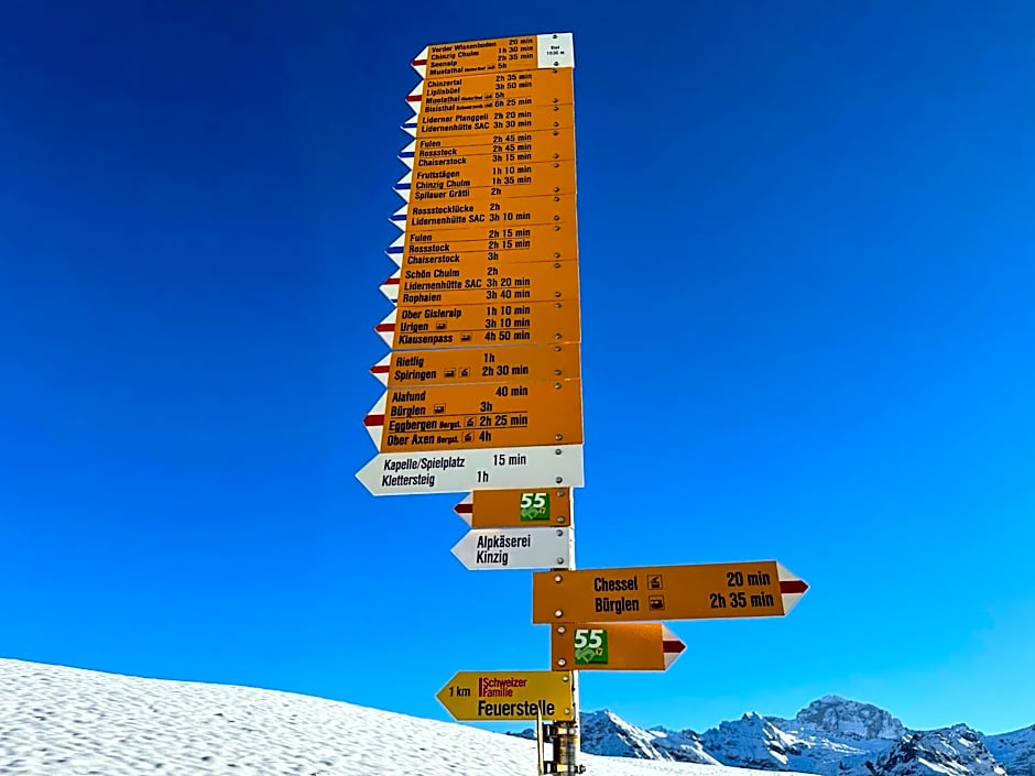 Alphotel Biel-Kinzig - Access by Cable Car only!