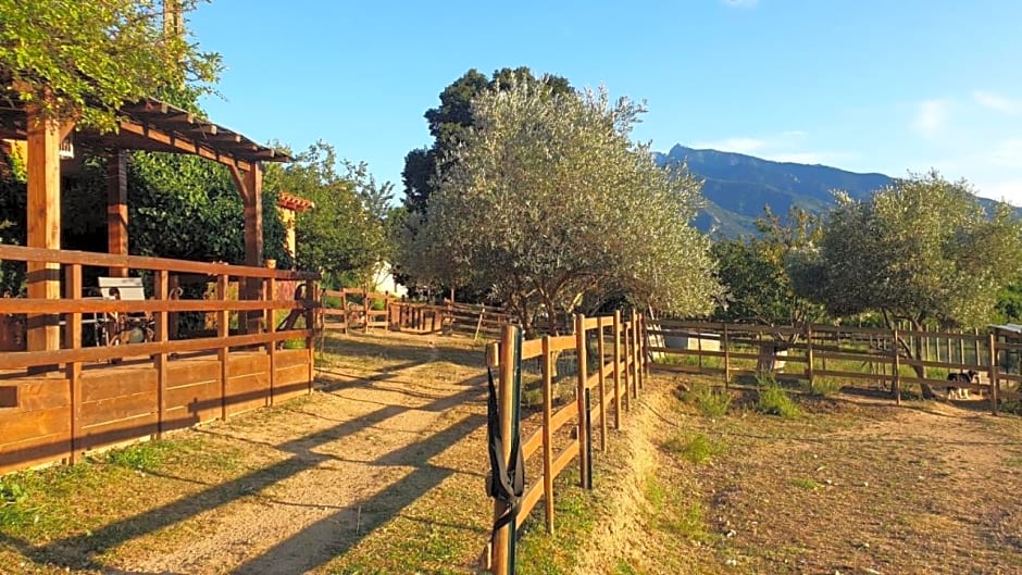 Chambre d'hôtes le petit Ranch