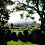 Somersal Bed & Breakfast