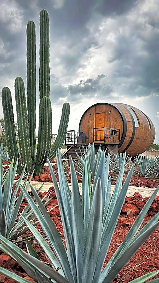 Matices Hotel de Barricas