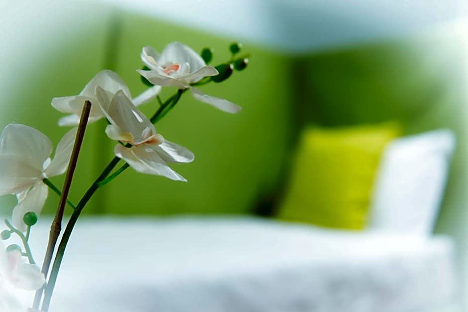 B&B San Benedetto