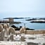 Dar Loulema