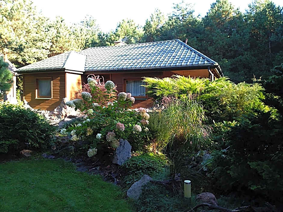 Uroczysko Ludwinowo na Podlasiu