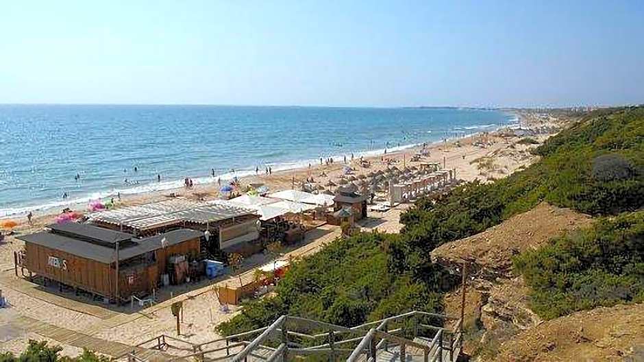 The Farm Tiny House - Tiny Casa