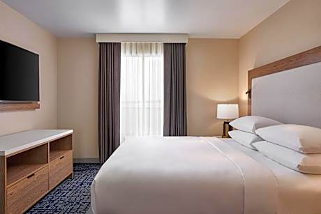Deluxe Studio, Guest room, 1 King, Sofa bed