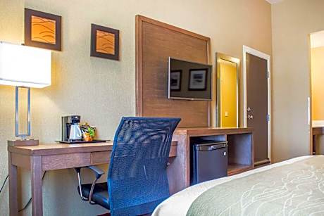 1 King Bed, Nonsmoking