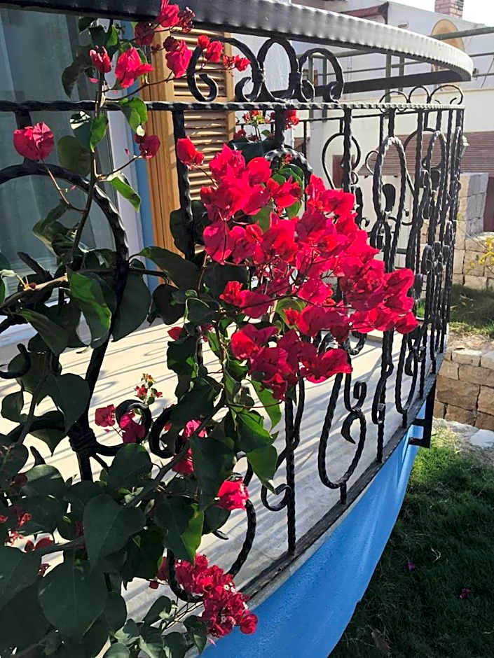 Clementin Suits Sigacık