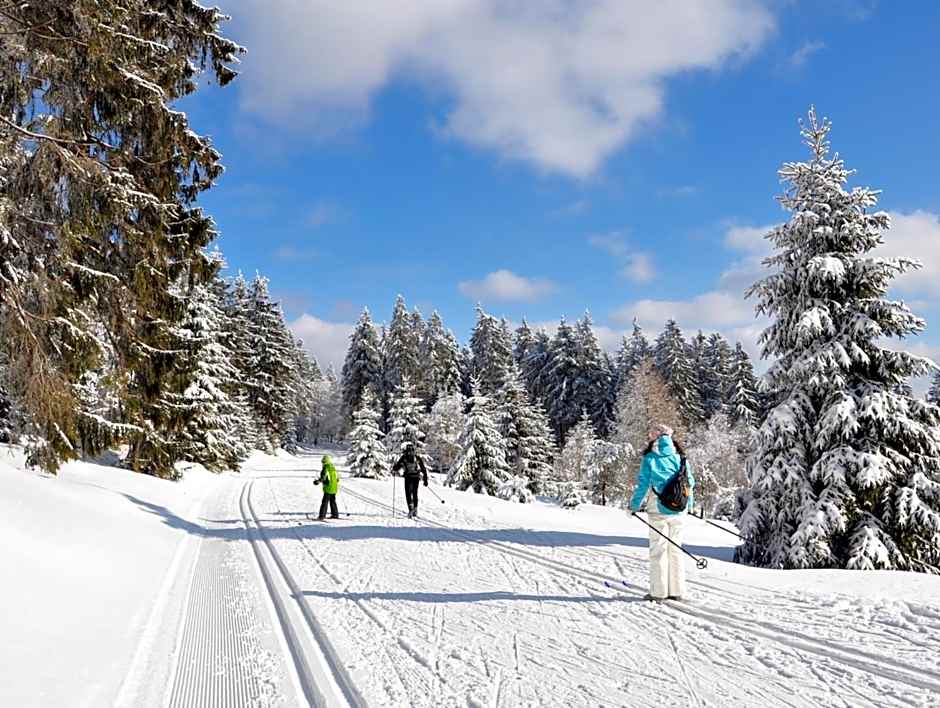 AHORN Berghotel Friedrichroda