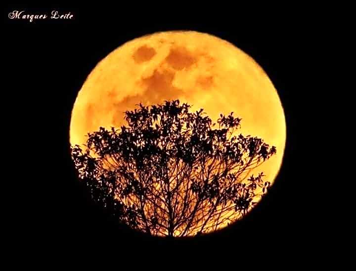 Pousada Rosa Mistica