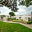 The Olive Tree Hotel