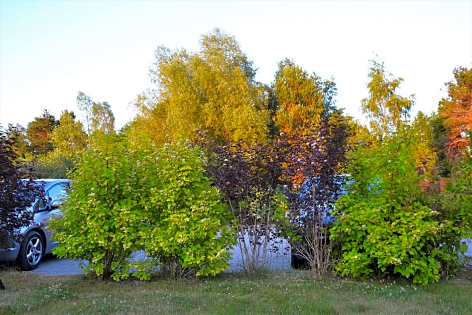 Domki holenderskie ,, Lataj¿cy Holender"