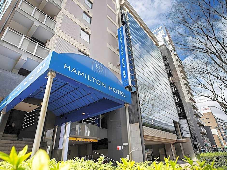Hamilton Hotel Blue Meiekiminami