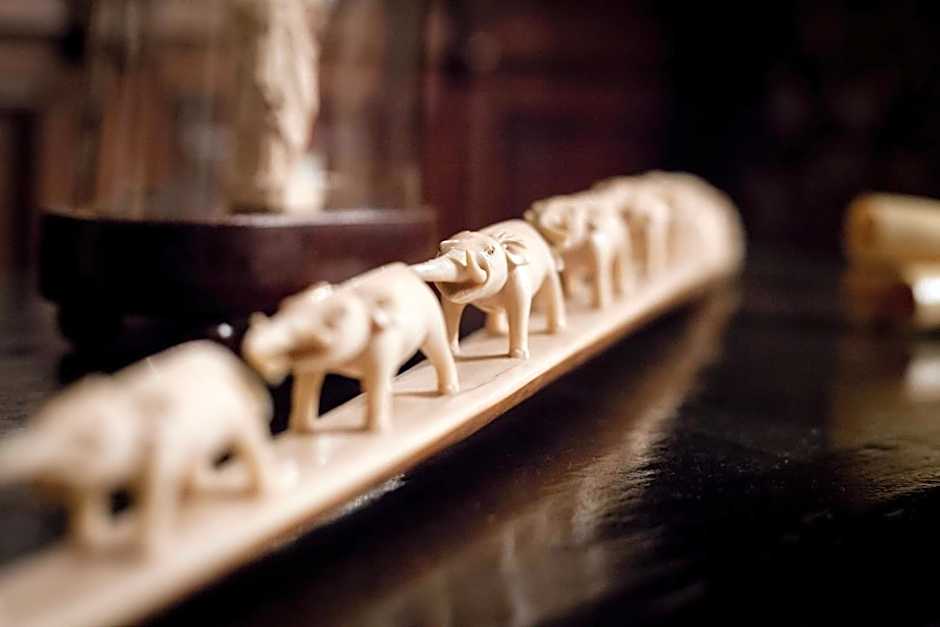 The Museum - Au Lit, Jérôme!