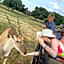 Kigeni Safari Lodge & Spa