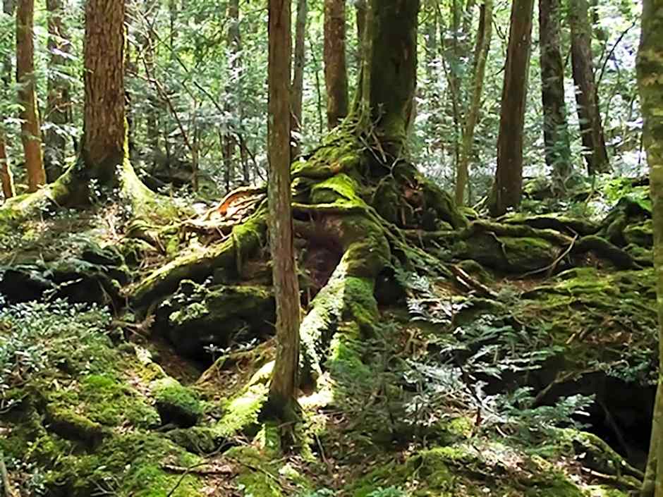 Shoji Mount Hotel - Vacation STAY 82979v