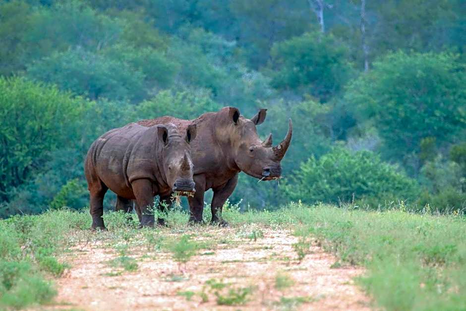 Garonga Safari