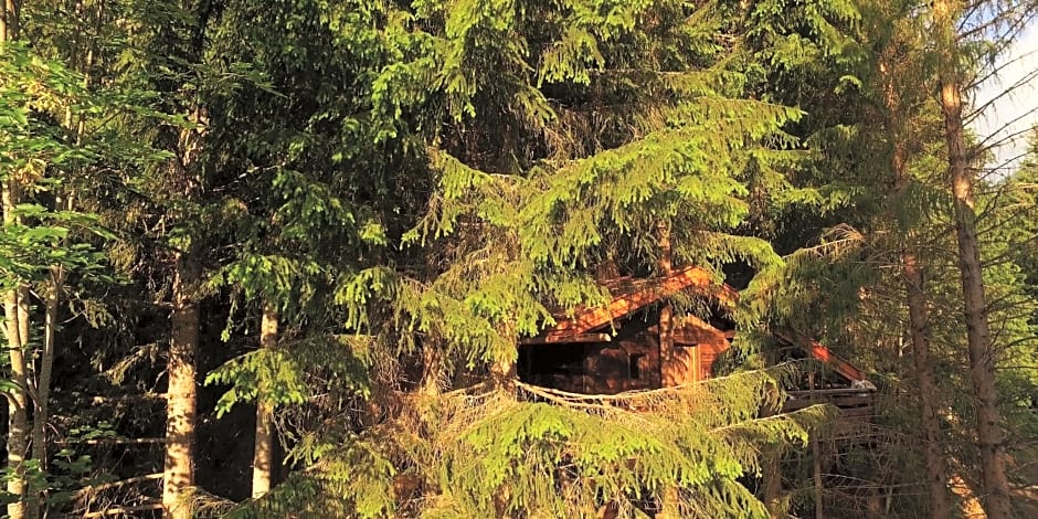 Cabane entre terre et ciel