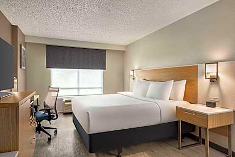 1 King Bed Non-Smoking