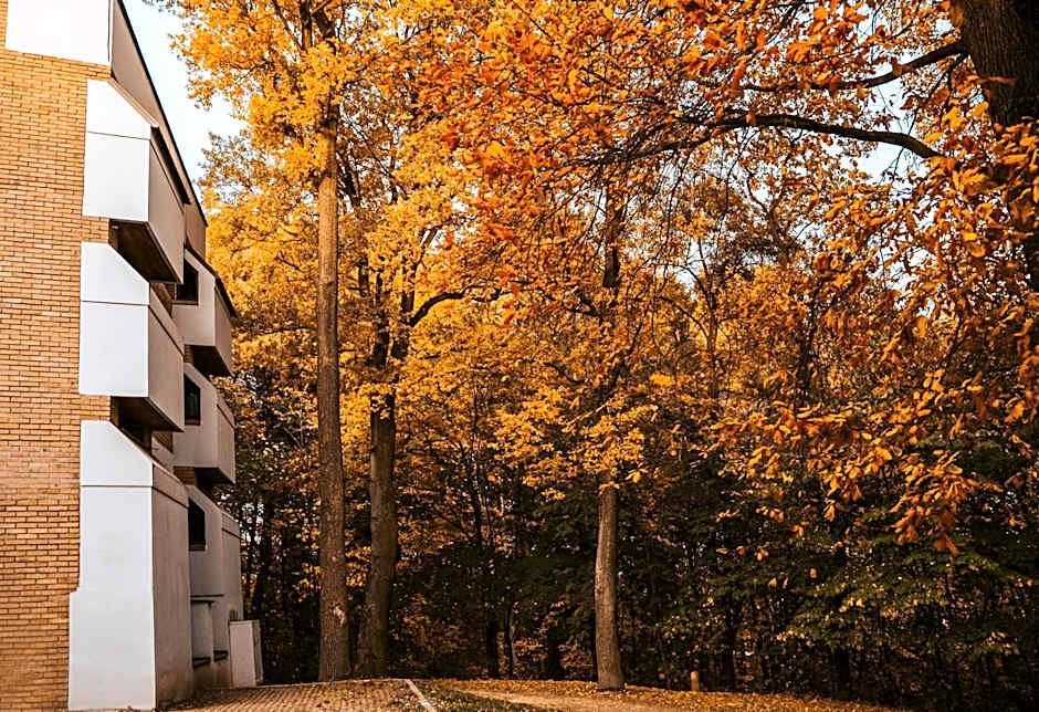 Forest Hotel