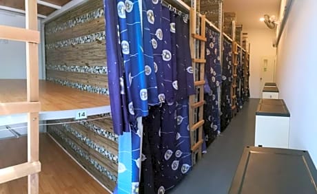 Bunk Bed in Mixed Dormitory Room