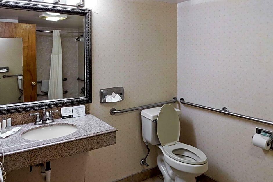 Quality Inn Salem - I-81