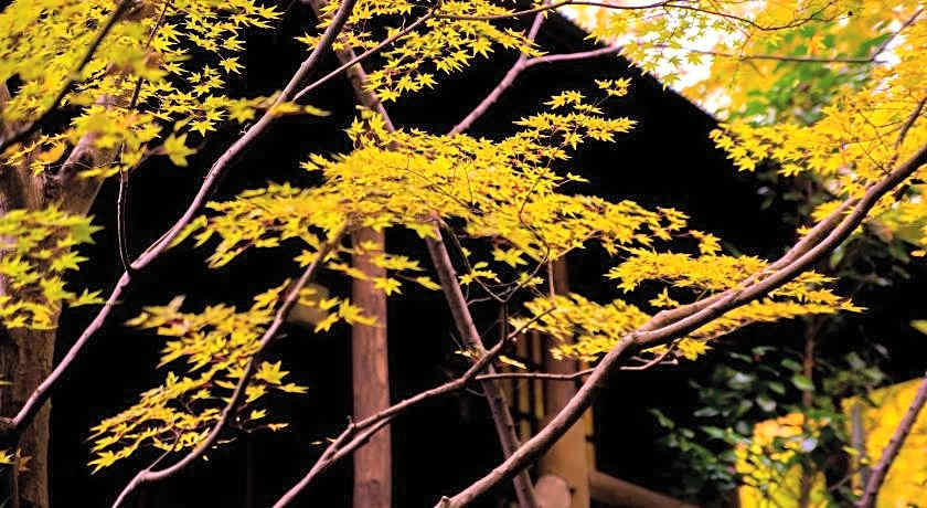 Oyado Noshiyu Onsen Ryokan
