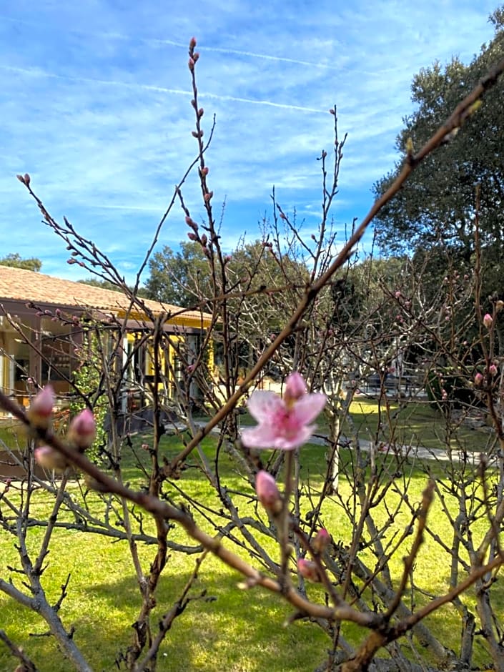 La Bastide De Grignan