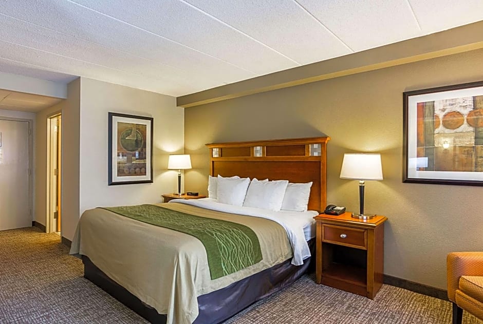 Comfort Inn Washington Dulles International