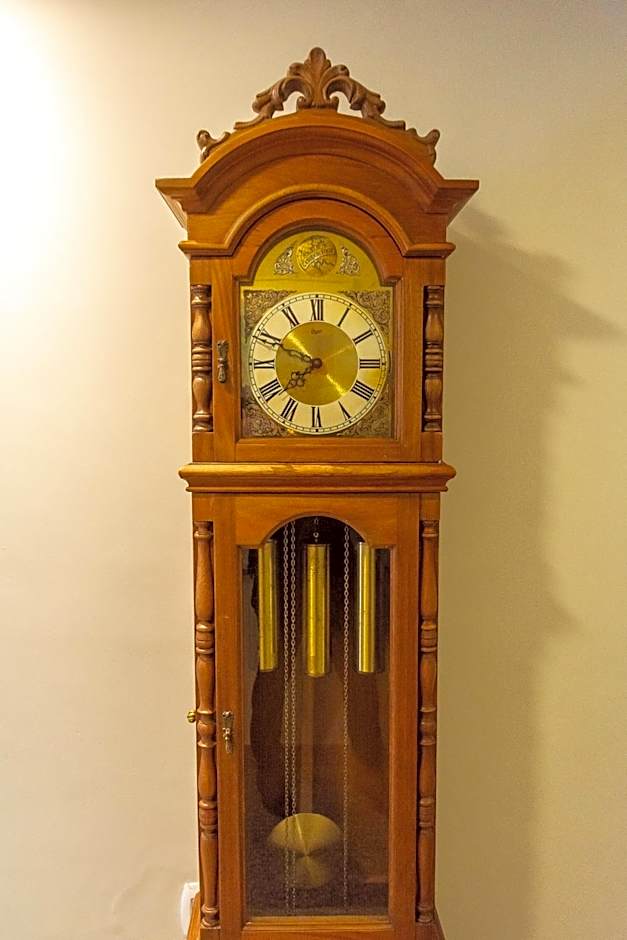 Fenix Hotel Pouso Alegre