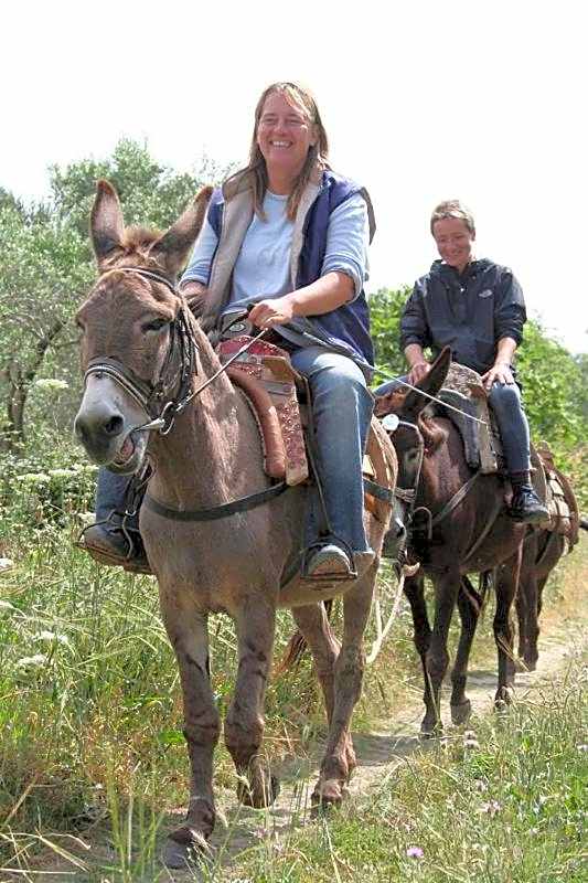 Alianthos Beach Hotel