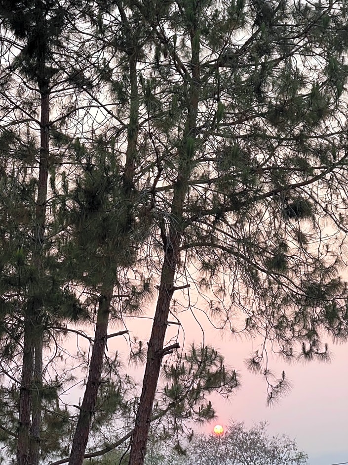 Chiang Khong Hill Resort