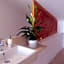 Calatabarca B&B