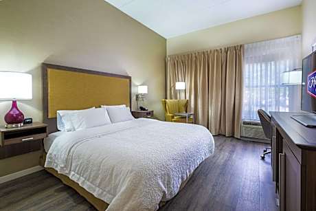 1 King Mobility Access Ri Shwr W/sofabed Ns