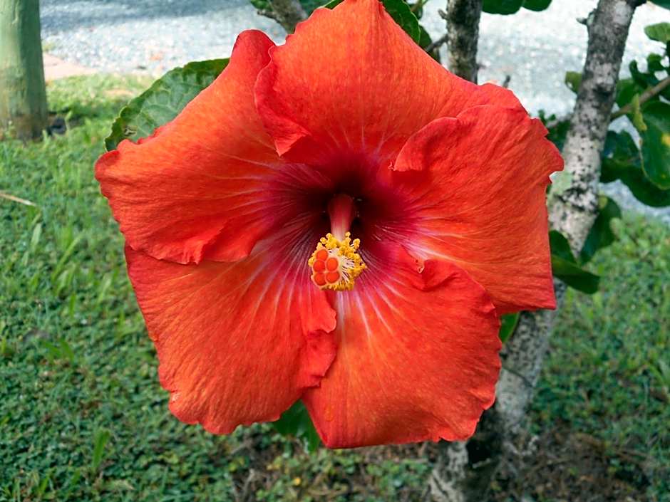 Bush Village Holiday Cabins