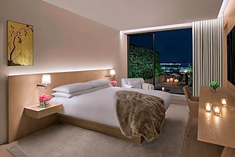 Terrace Suite, 1 Bedroom Suite, 1 King, City view, Balcony