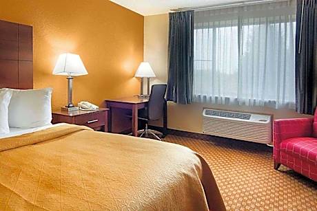 King Room with Mobility Access and Bathtub with Grab Bars, Non-Smoking
