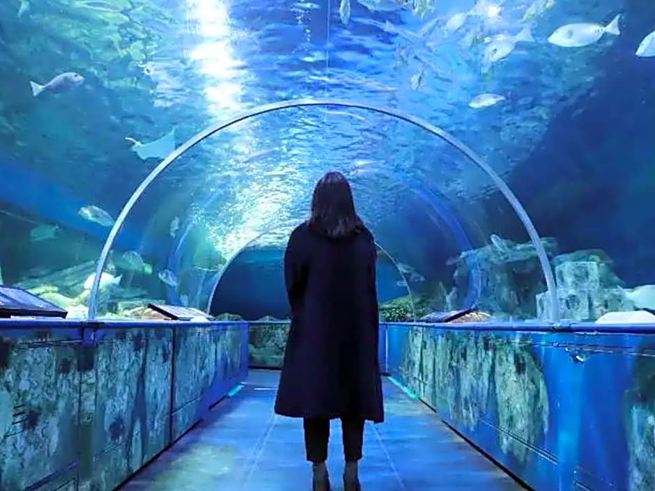 Tokyo Time Traveler 駅徒歩5分 暮らすように泊まれるホテル