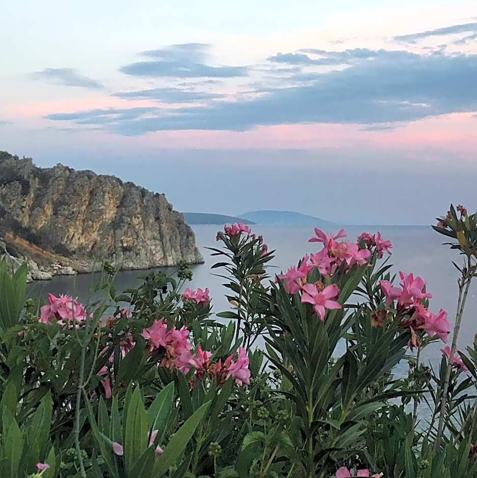 Lemon Art Hotel Apartments