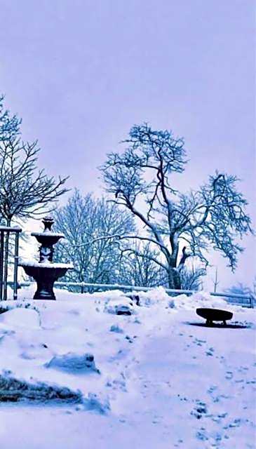 Landhotel Flora & Fauna