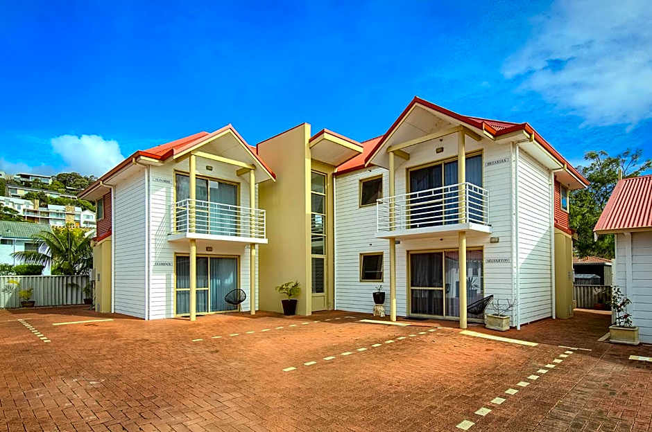 Pelicans Albany Middleton Beach