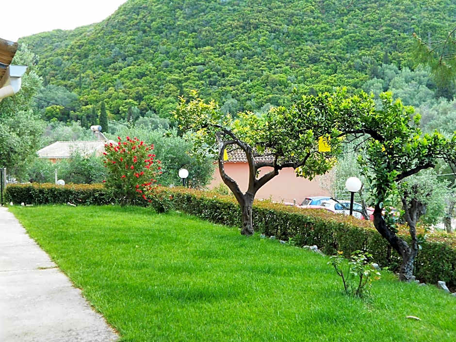 Anemona Studios